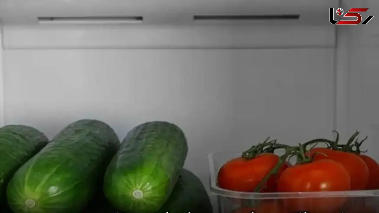 روش های جلوگیری از کپک زدگی خیار و گوجه در یخچال / جدول