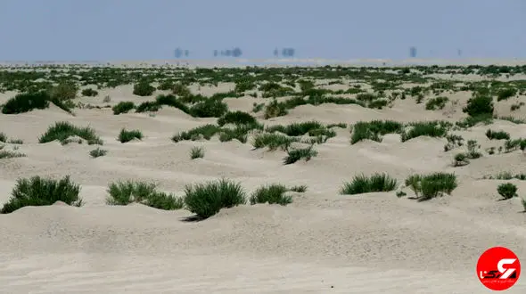 تبدیل تالاب میقان به کویر با حفر 2 هزار و 500 حلقه چاه فعال در 40 سال/ شن های روان تهدیدی برای فرودگاه و شهر اراک 