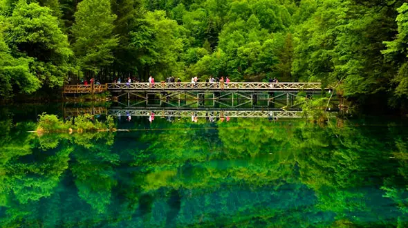اگر رویای بزرگی داری، شجاعت پیگیری آن را هم داشته باش