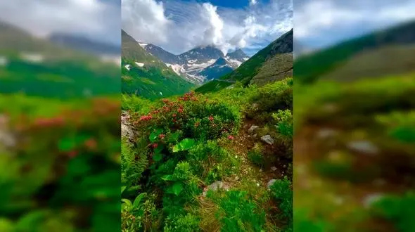 فال و طالع بینی روزانه 11 فروردین + فیلم 