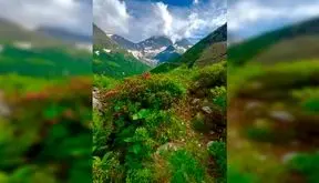 فال و طالع بینی روزانه 11 فروردین 1405