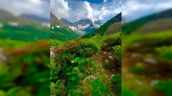 فال و طالع بینی روزانه 11 فروردین 1405