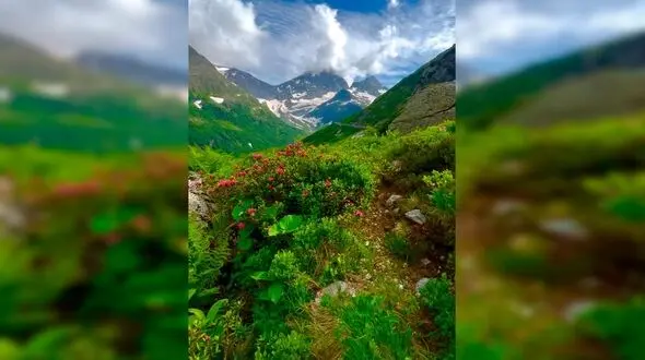 فال و طالع بینی روزانه 11 فروردین 1405