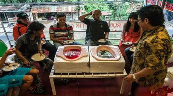 سرو غذا در کاسه توالت در کافی شاپ+عکس