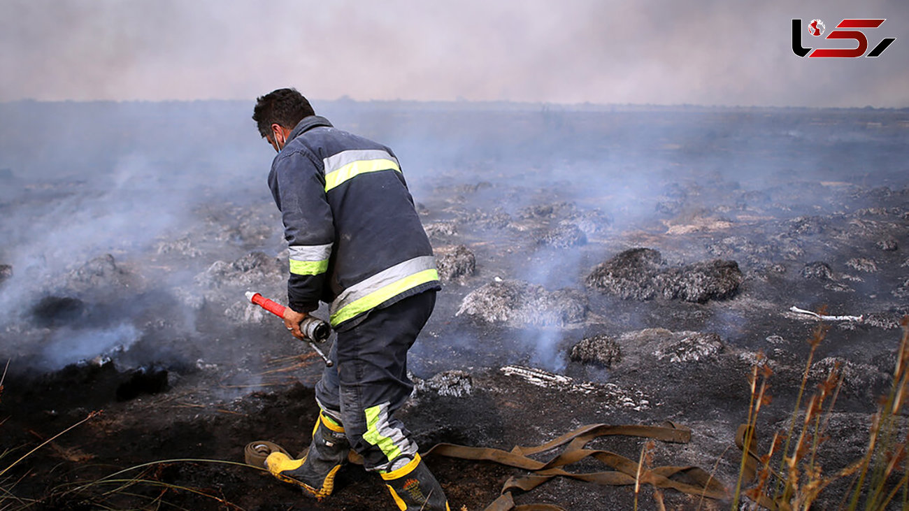 آتش 340 هکتار پوشش گیاهی و جنگلی میانکاله را سوزاند