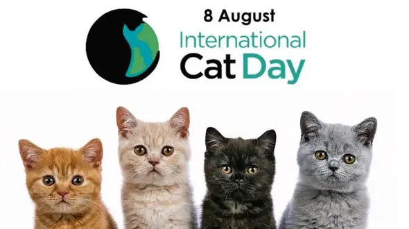 روز جهانی گربه‌ ها: چرا این روز خاص اهمیت دارد؟