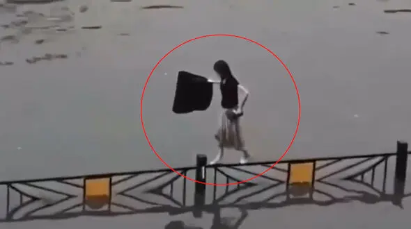 ببینید / از سلفی خطرناک در کنار رودخانه خروشان تا نجات گربه در بزرگراه