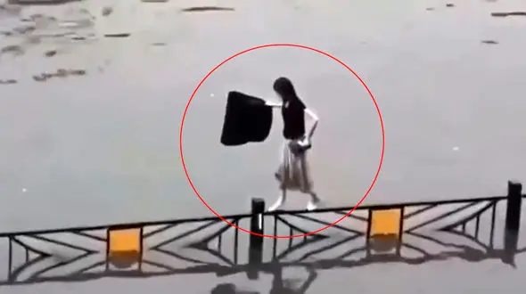 ببینید / از سلفی خطرناک در کنار رودخانه خروشان تا نجات گربه در بزرگراه