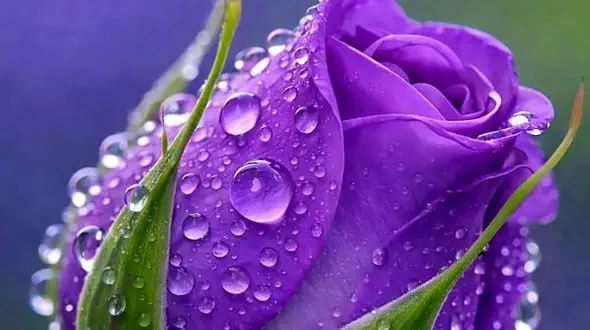 فال ابجد امروز 29 فروردین 1405