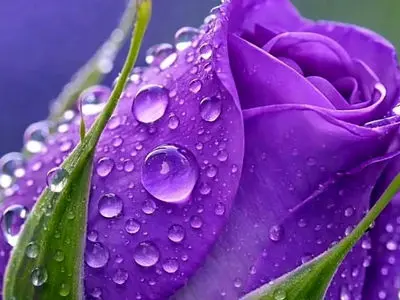 فال ابجد امروز 29 فروردین 1405