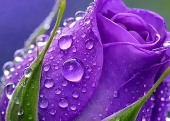 فال ابجد امروز 29 فروردین 1405