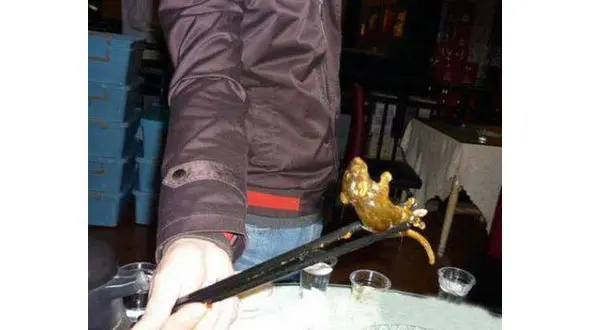 موش پخته شده در سوپ یک زن+عکس