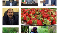 کنفرانس علمی و همایش سرمایه‌گذاری توت‌فرنگی در کردستان برگزار می‌شود