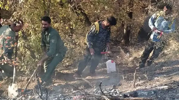 آتش‌سوزی در پارک ملی گلستان