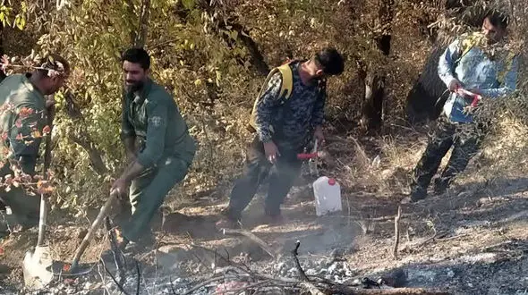 آتش سوزی ناشی از سهل انگاری در پارک ملی گلستان / با تلاش محیط‌بانان و جوامع محلی آتش خاموش شد