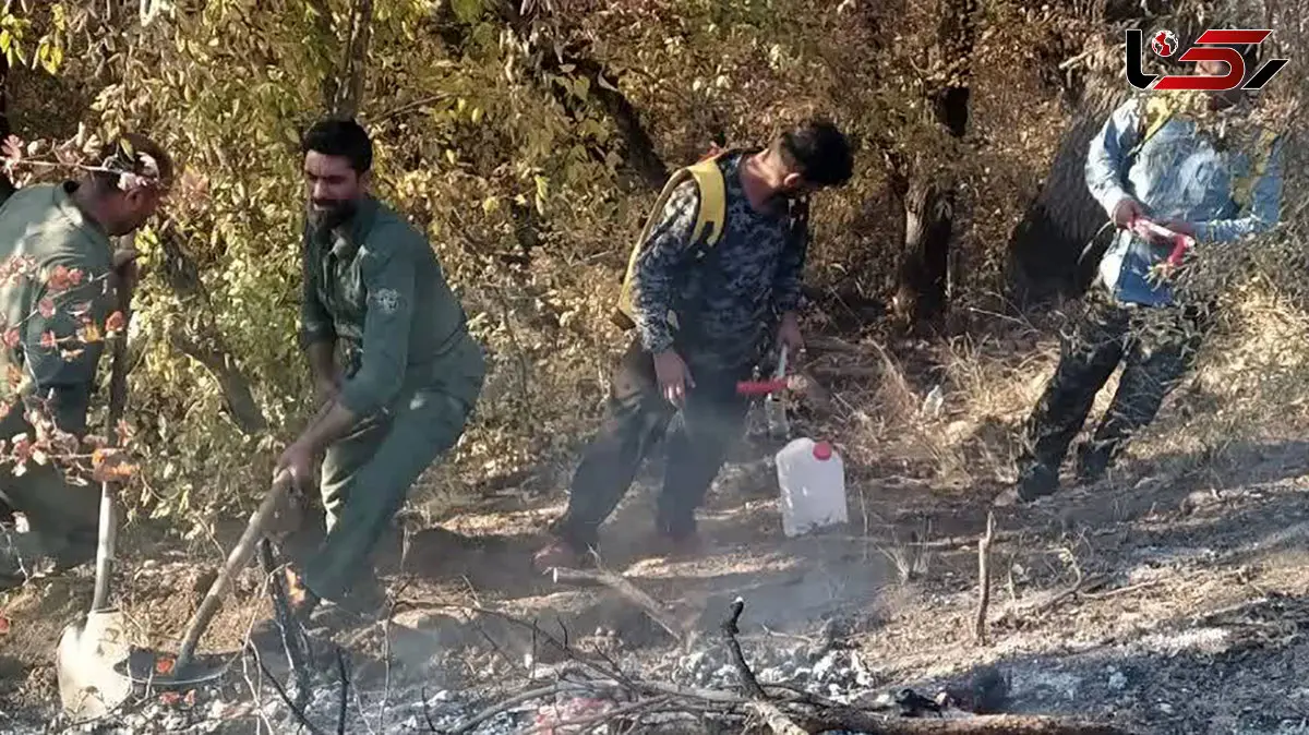 آتش سوزی ناشی از سهل انگاری در پارک ملی گلستان / با تلاش محیط‌بانان و جوامع محلی آتش خاموش شد