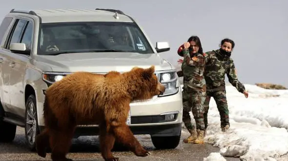 شیطنت های خطرناک 2 زن جوان با خرس وحشی در مرز ایران +  تصاویر