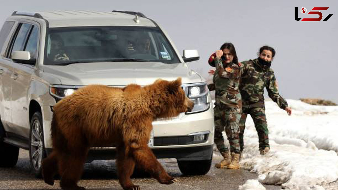 شیطنت های خطرناک 2 زن جوان با خرس وحشی در مرز ایران +  تصاویر