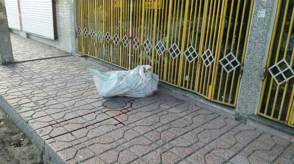 از این گونی خون می چکید!/وحشت آفرینی جسدی در همدان + عکس