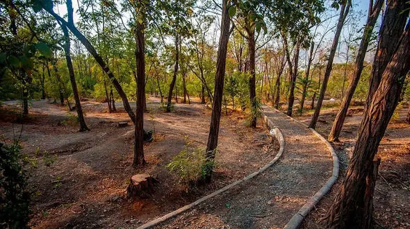 خرگوش‌ دره را با پساب نجات دهید