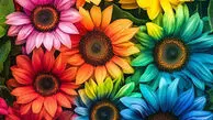 فال ابجد امروز 28 خرداد 1405