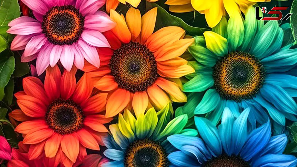 تعبیر فال ابجد 12 بهمن