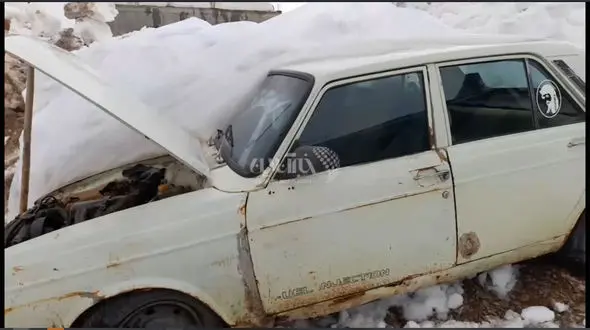 ببینید / وضعیت جالب توجه یک پیکان بعد از ۲ هفته دفن شدن در برف‌های کوهرنگ! + فیلم