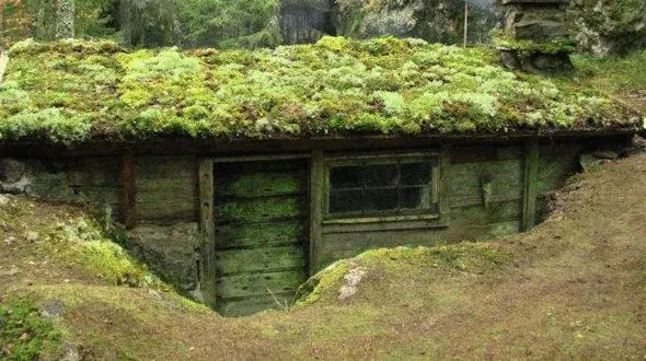 کلبه ای در جنگل های سوئد با قدمتی یکصد ساله