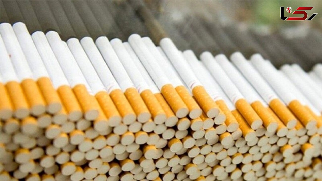 تولید سیگار سالانه ۶۰۰ میلیون درخت در جهان را قطع می کند 