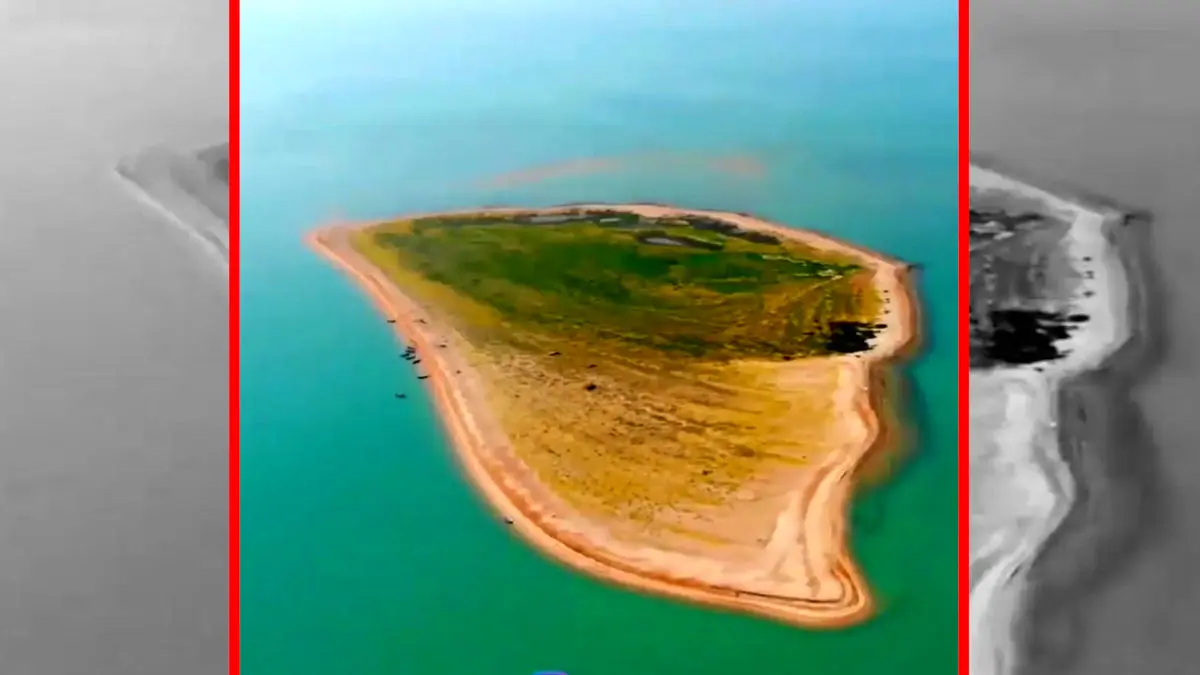 فیلم طبیعت بی‌نظیر جزیره نخیلو