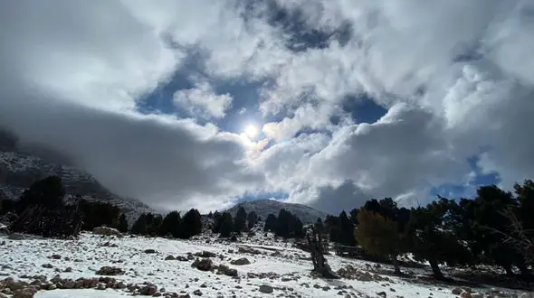 بازگشت سبز به ارتفاعات هماگ سوخته؛ طبیعت پس از آتش‌سوزی نفس تازه می‌کند + عکس