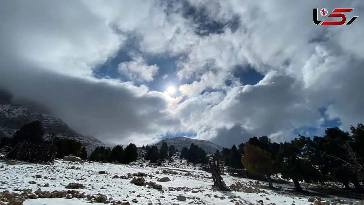 بازگشت سبز به ارتفاعات هماگ سوخته؛ طبیعت پس از آتش‌سوزی نفس تازه می‌کند + عکس