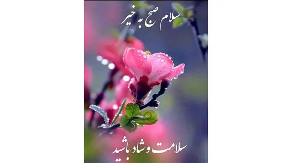 فال ابجد 13 اردیبهشت + فیلم