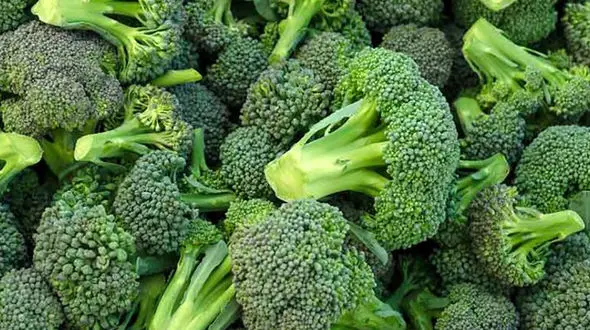 مواد لازم برای تقویت حافظه