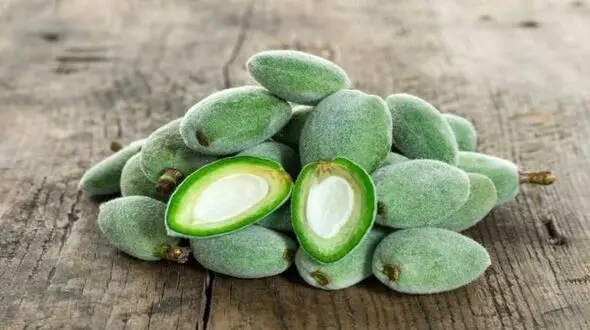 پوستی زیبا با خوردن این نوبرانه بهاری