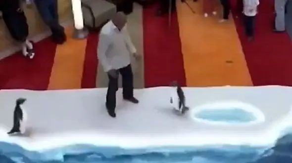 تصاویری هیجان انگیز از یک باغ وحش + فیلم و عکس