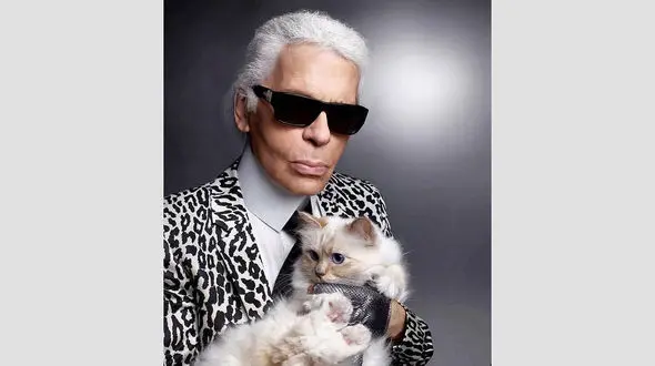 تولد ثروتمندترین گربه جهان + عکس های لاکچری و باورنکردنی