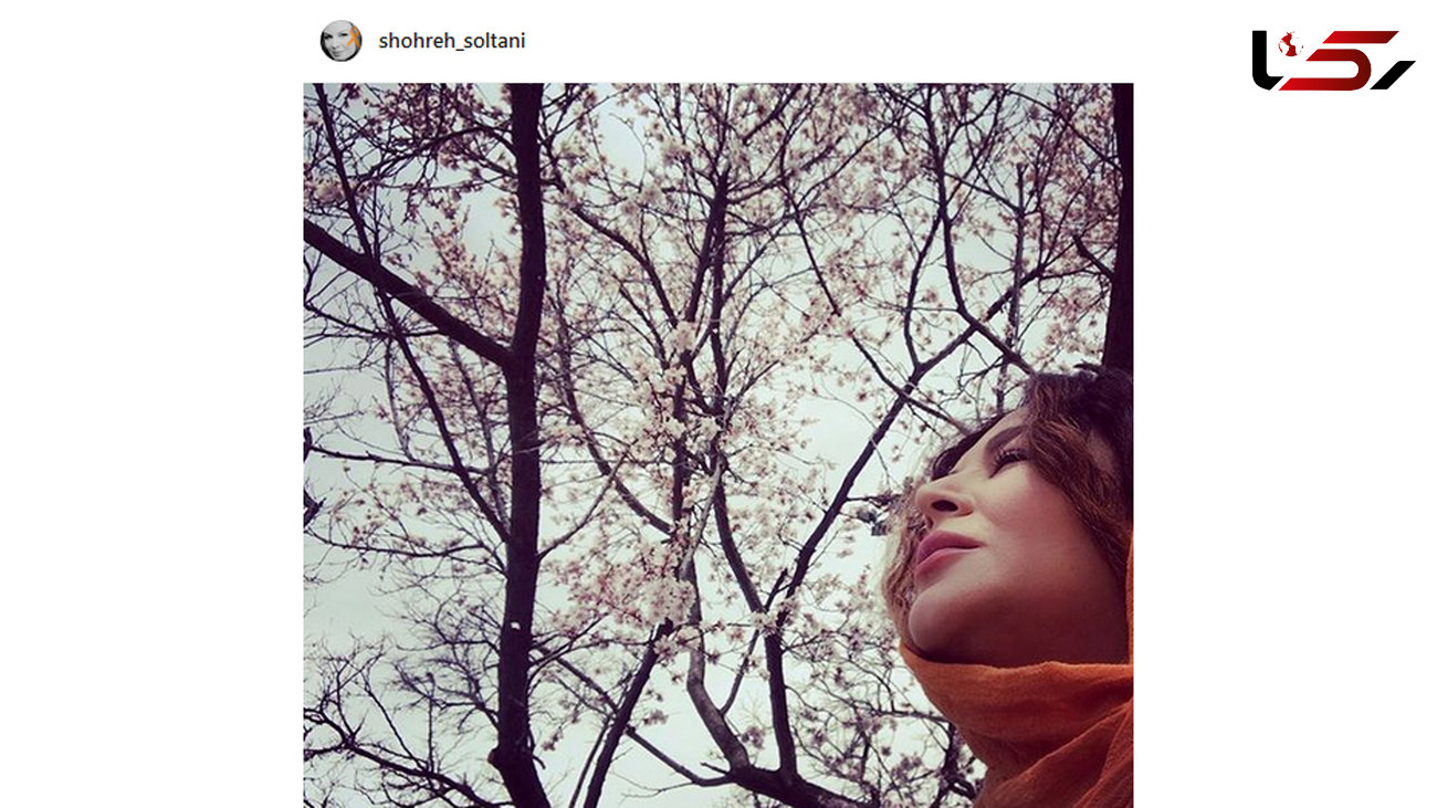 عکس متفاوت خانم بازیگر در میان شکوفه ها