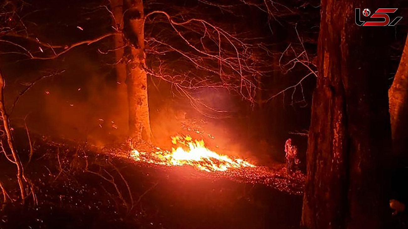 فیلم  آتش‌سوزی ۱۳ ساعته در جنگل‌های آغوزبن رودبار + جزییات