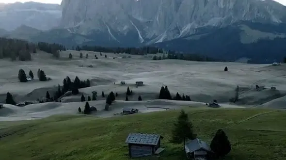 امروز برنده شو