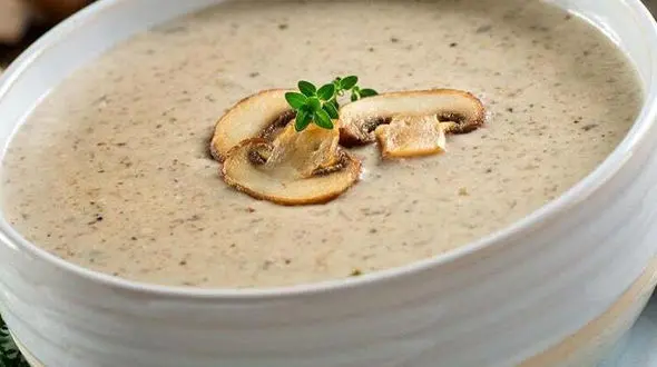 آموزش سوپ شیر و قارچ رستورانی