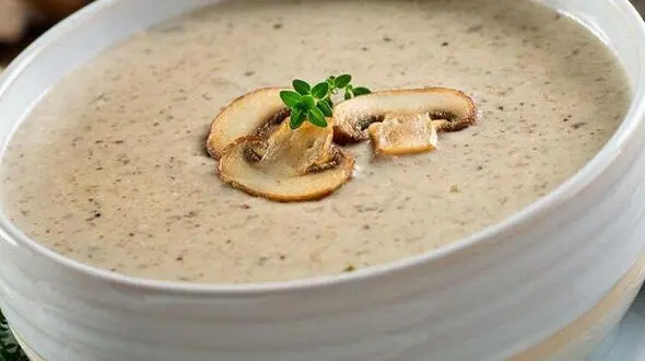 آموزش سوپ شیر و قارچ رستورانی
