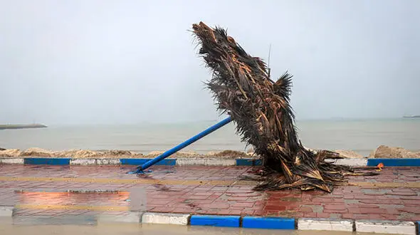 هشدار هواشناسی؛ وزش باد و تلاطم امواج در جنوب کشور