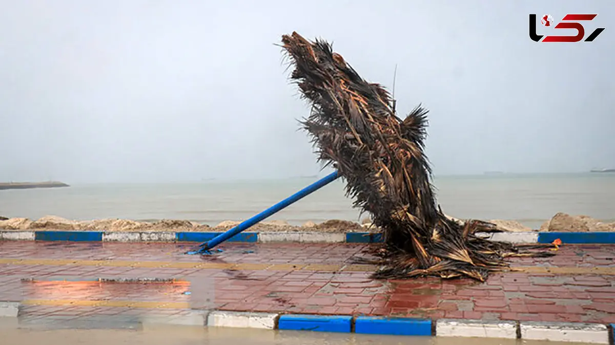 هشدار هواشناسی؛ وزش باد و تلاطم امواج در جنوب کشور