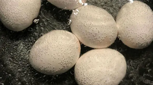  از دور ریختن آب تخم مرغ آبپز خودداری کنید!