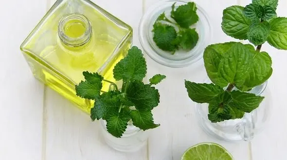 درمان خانگی غده های عفونی و غده های چربی زیر پوست