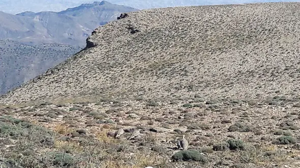 ثبت ۳ اثر تاریخی خراسان رضوی در فهرست آثار ملی