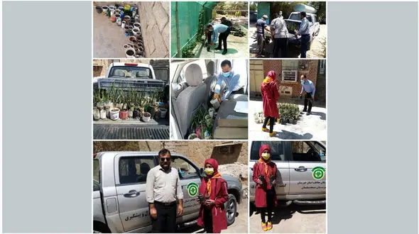 دختر 12 ساله، آغازگر محافظت از محیط زیست بین دانش آموزان مسجدسلیمان/ با کاشت 300 نهال + صوت 