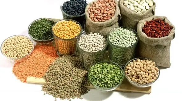 جلوگیری از حشره زدن حبوبات با ترفندهای خانگی
