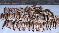 ماهیگیران متخلف در حاشیه رودخانه قمرود دستگیر شدند
